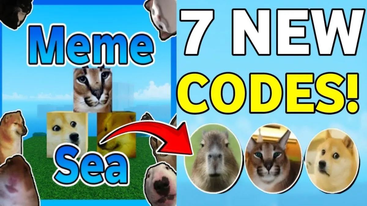 Cách nhận thêm code Meme Sea mới nhất